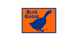 Blue-goose